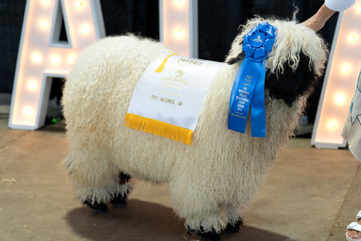 Frozen Semen - Mezcal