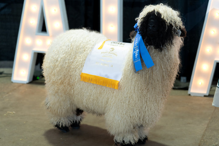 Frozen Semen - Mezcal